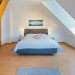 Inselrosen