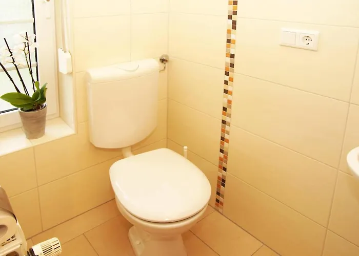 Inselrosen * Dornumersiel